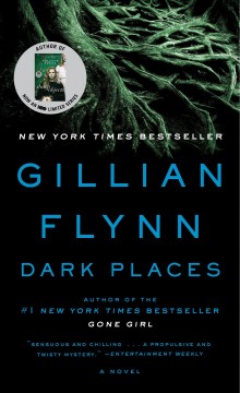 Dark places Book cover