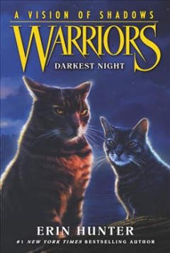 Darkest night Book cover