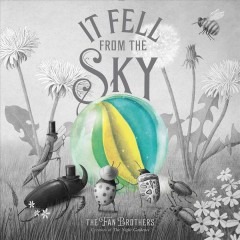 It fell from the sky  Cover Image