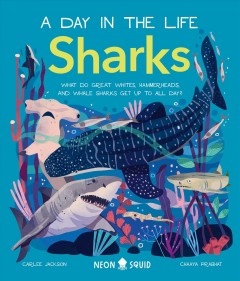 Sharks : what do great whites, hammerheads, and whale sharks get up to all day?  Cover Image