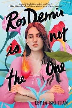 Ros Demir is not the one  Cover Image