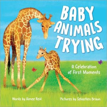 Baby animals trying : a celebration of first moments Book cover