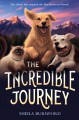 Go to record The incredible journey
