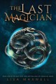 Go to record The last magician