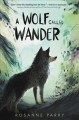 Go to record A wolf called Wander