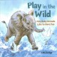 Go to record Play in the wild : how baby animals like to have fun