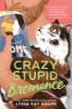 Go to record Crazy stupid bromance