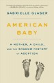 Go to record American baby : a mother, a child, and the shadow history ...