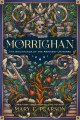 Go to record Morrighan : the beginnings of the Remnant universe