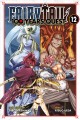Go to record Fairy tail. 100 years quest. 12