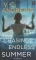 Go to record Chasing endless summer : a novel