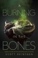 Go to record A burning in the bones