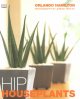 Go to record Hip houseplants
