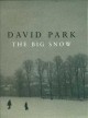 Go to record The big snow